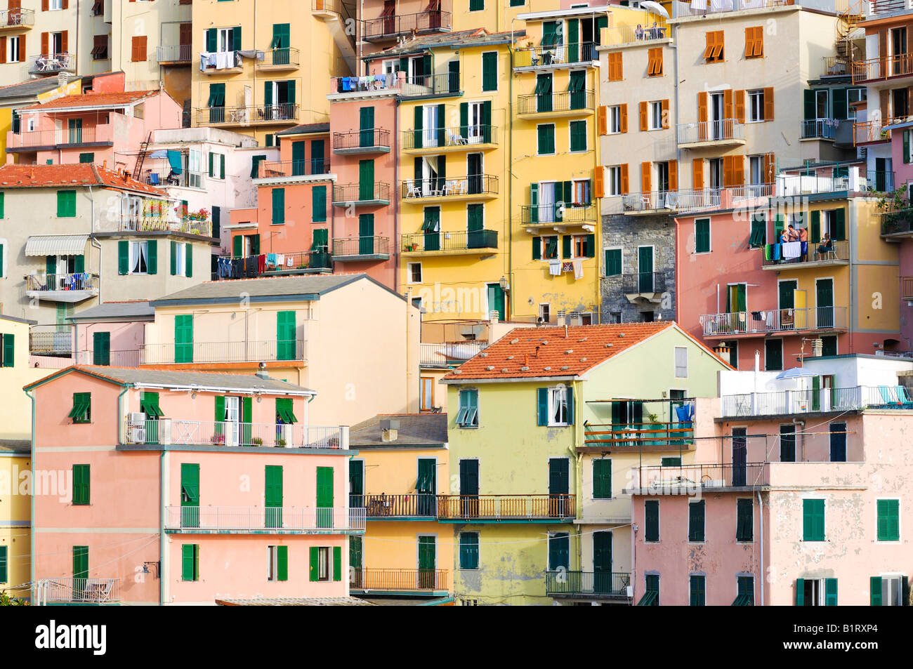Las fachadas de las casas ubicado junto en Manarola, Liguria, Cinque Terre, Italia, Europa Foto de stock