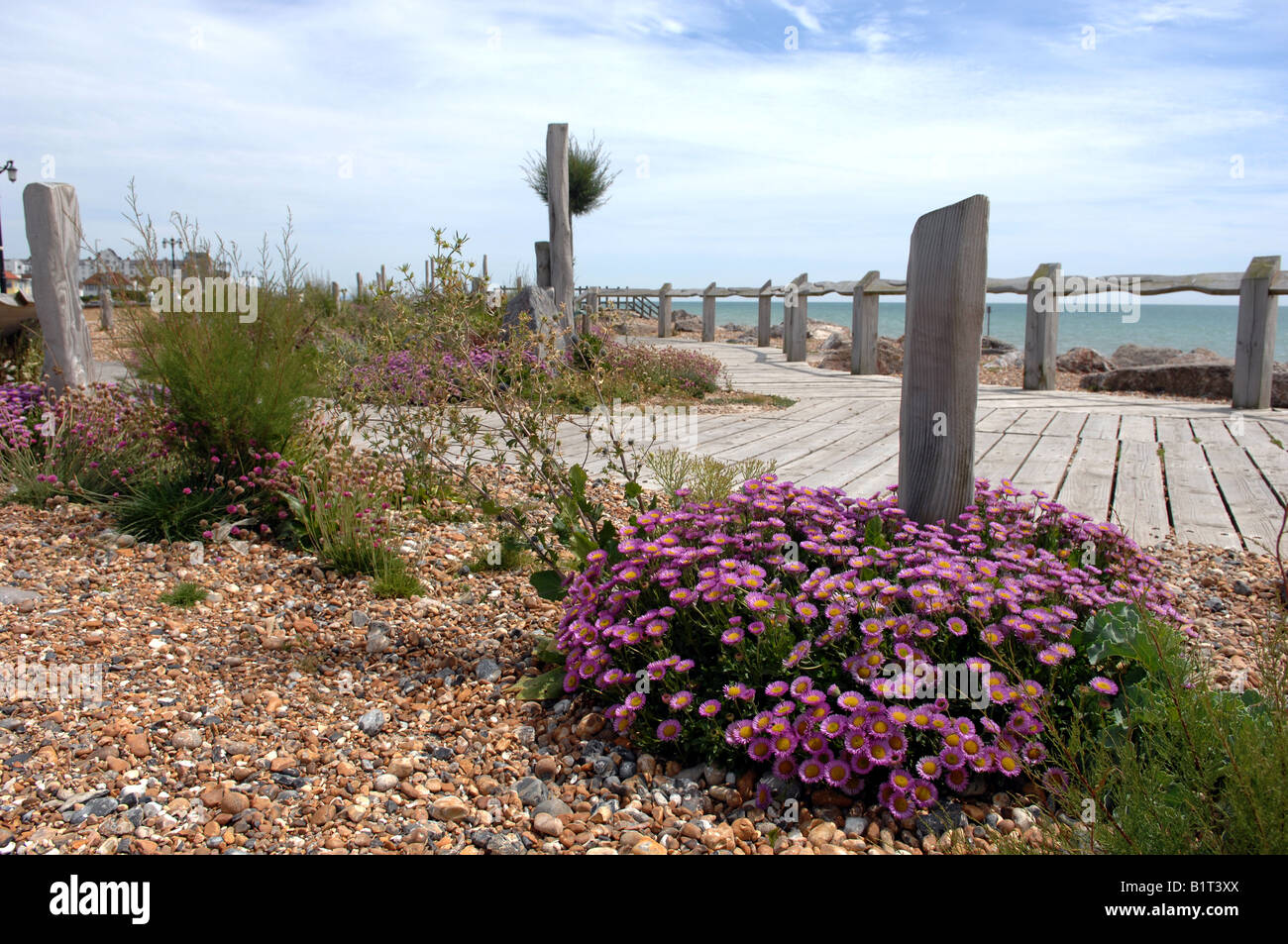 El jardín de estilo mediterráneo Waterwise en Worthing Beach UK Foto de stock