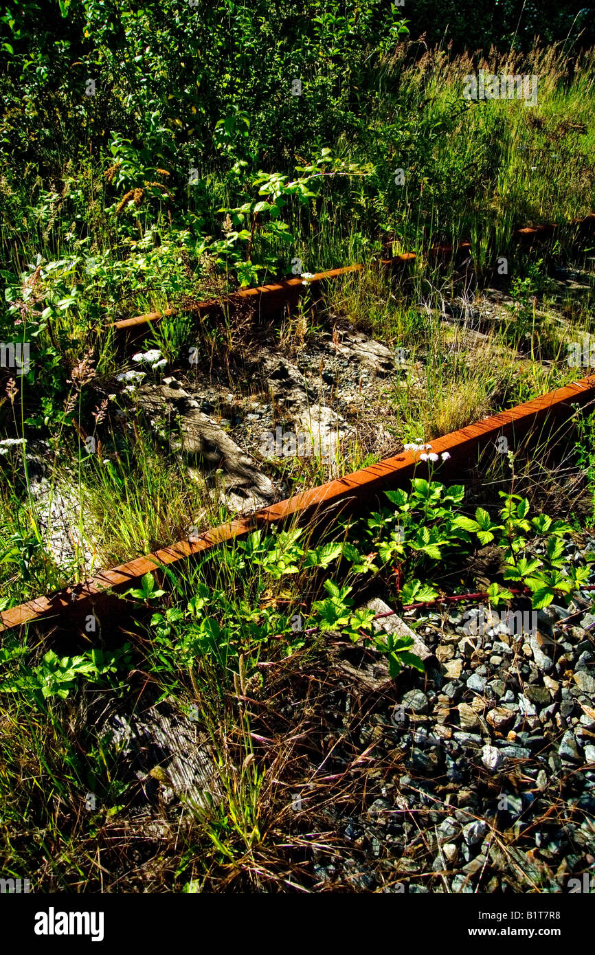 Las vías de ferrocarril abandonada óxido en una maleza cubiertas firme de carretera en Tacoma, Washington Foto de stock