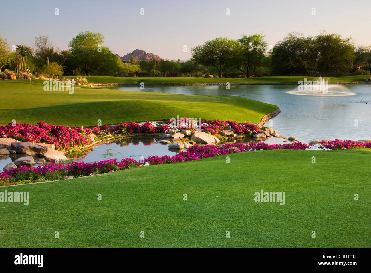 El 7º hoyo en la Canyon Golf Course en el Phoenician Resort en Scottsdale, Arizona Foto de stock