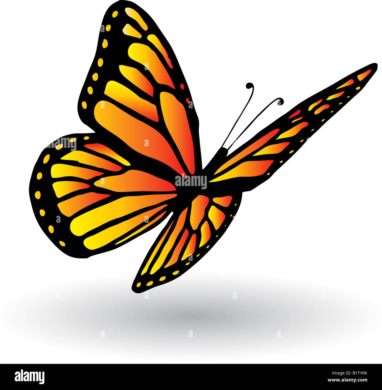Conjunto de mariposas decorativas, decoradas con estilo de corte de papel  de forma orgánica Fotografía de stock - Alamy