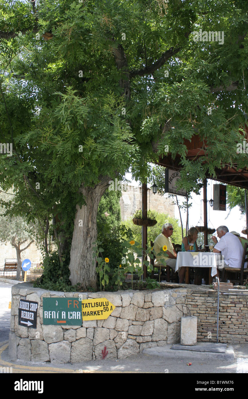 Bellapais Cafe bajo el árbol de ociosidad Foto de stock