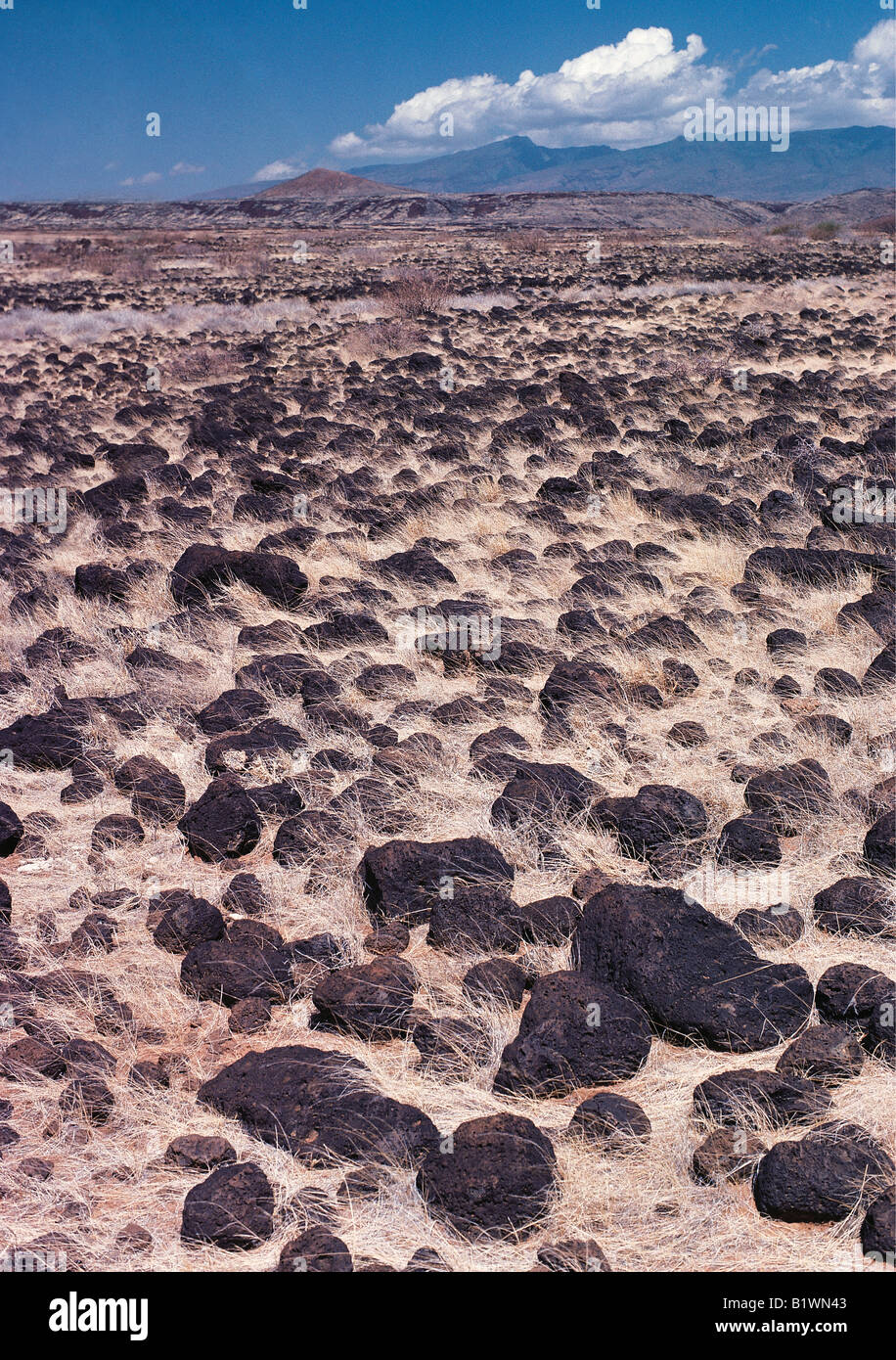 Desierto de grava de rocas de lava al norte de South Horr Norte de Kenia África Oriental Foto de stock