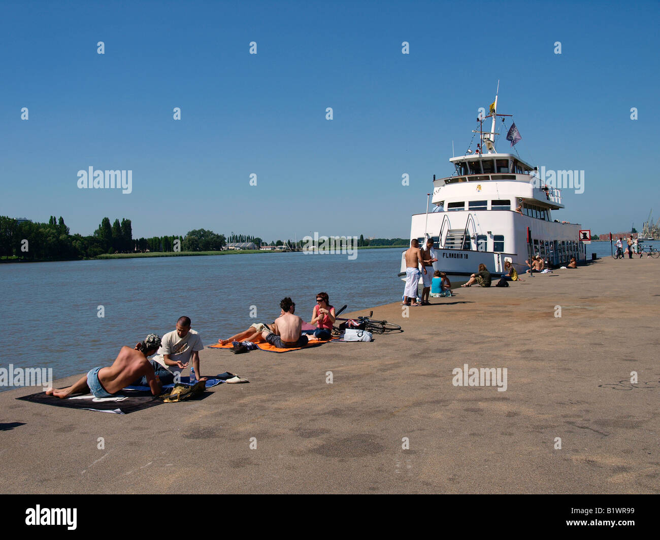 Relajante a lo largo de la orilla del río Escalda en un día muy caluroso en Amberes, Bélgica Foto de stock