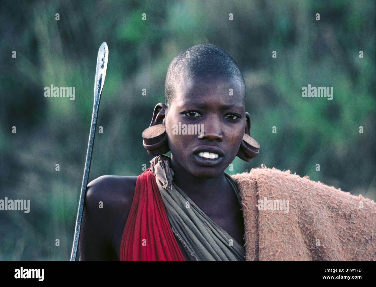 Retrato del hombre masai en traje tradicional usando tapones de madera  grande como decoraciones de oreja Sur África oriental Kenia Fotografía de  stock - Alamy