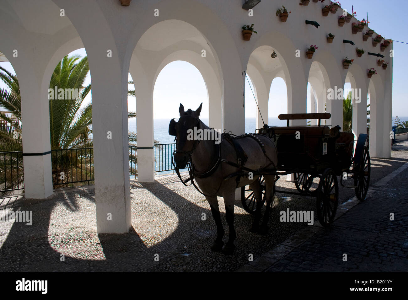 Turismo y Transporte de caballos en el Balcón de Europa en Nerja, en el sur de España Foto de stock