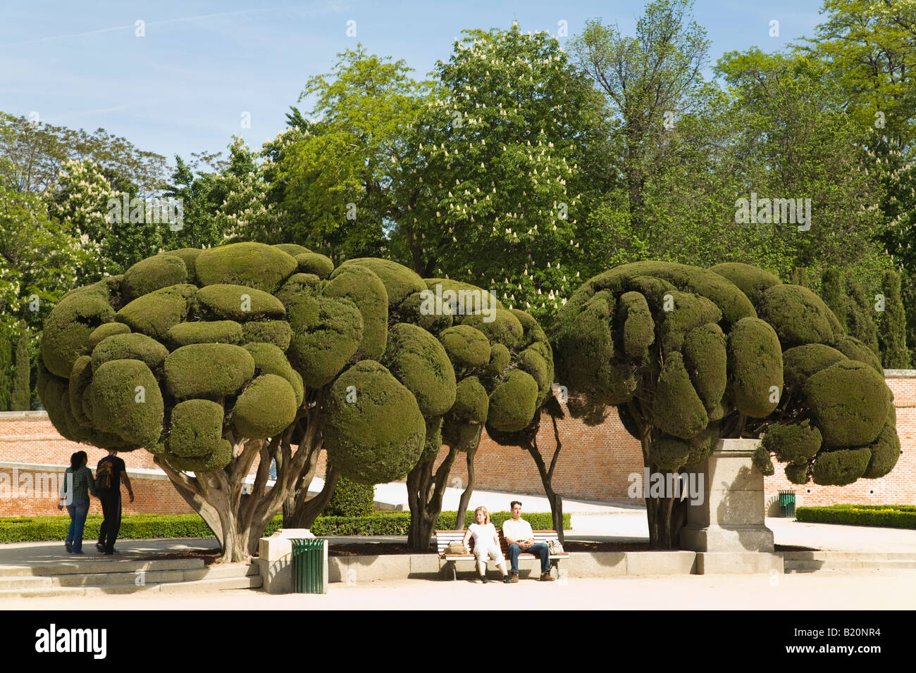 España Madrid gente sentada en un banco bajo los árboles en los jardines  esculpidos en el Parque del Retiro el Parque del Buen Retiro Fotografía de  stock - Alamy