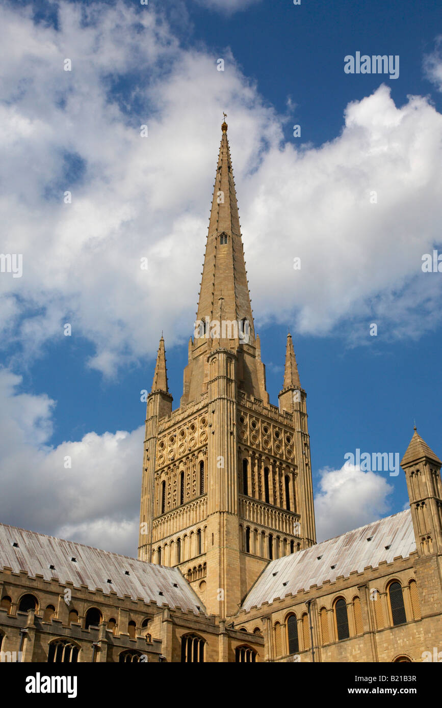 Catedral de Norwich en un brillante día de verano Foto de stock