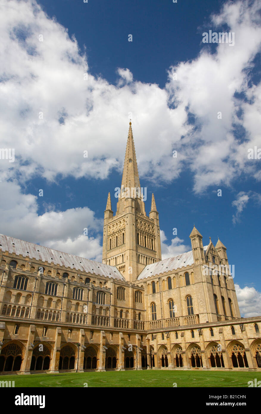 Catedral de Norwich en un brillante día de verano Foto de stock