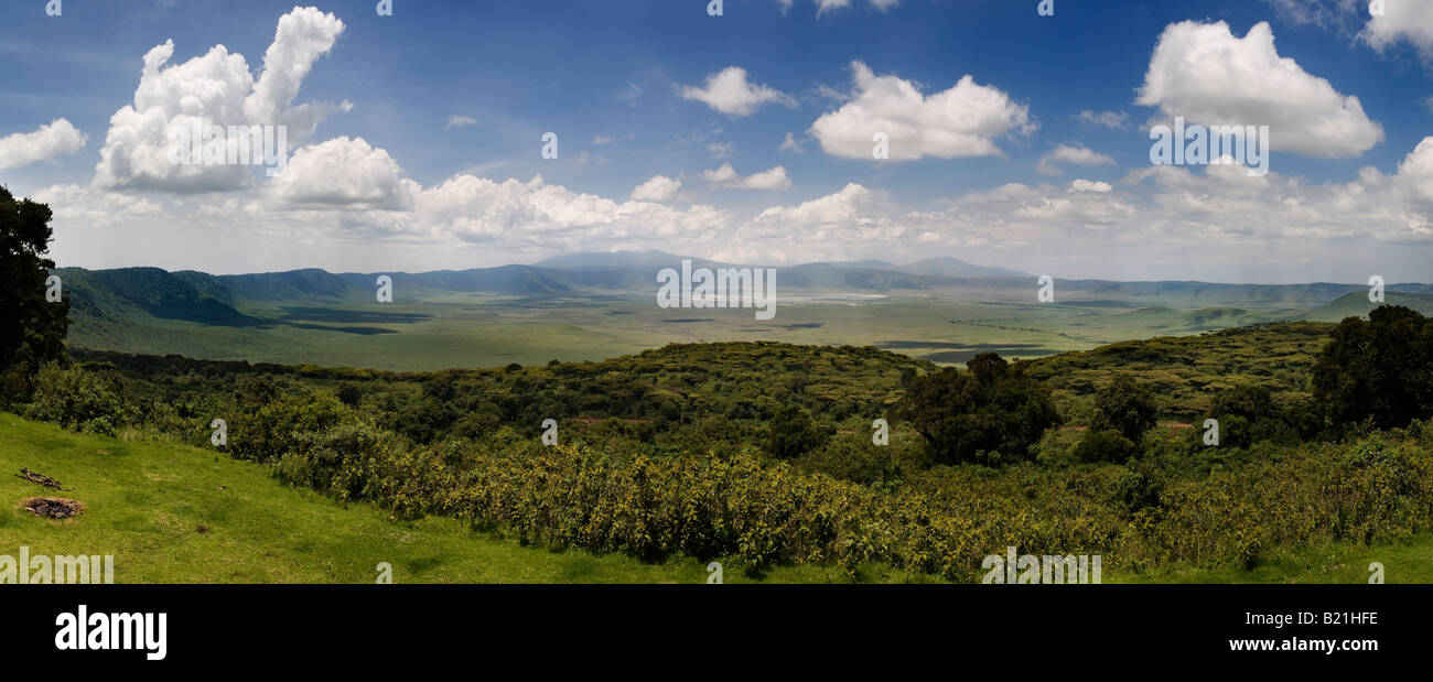 Vista panorámica del cráter del Ngorongoro Tanzania Foto de stock
