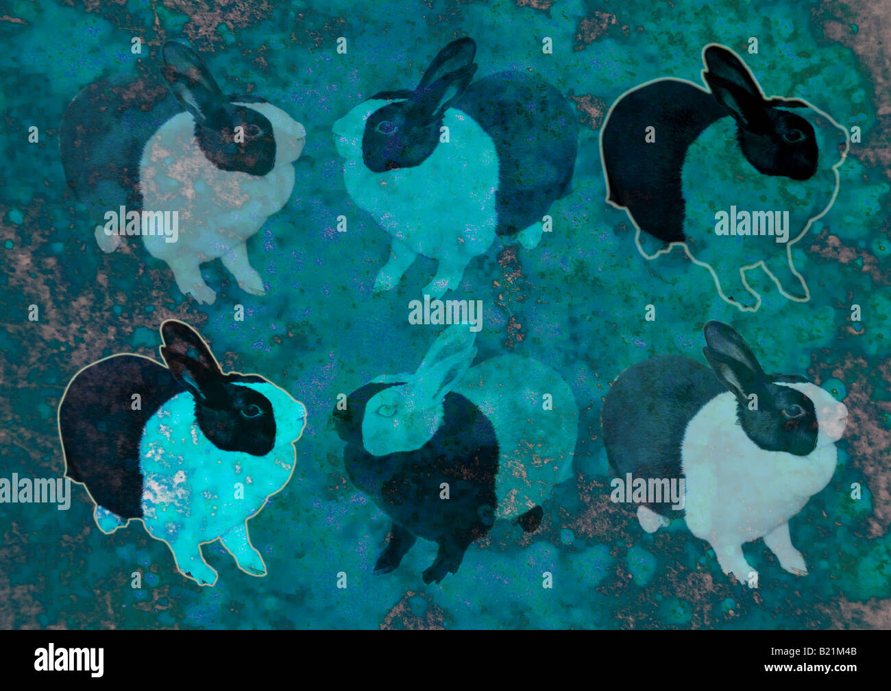 Ilustración de conejos Foto de stock