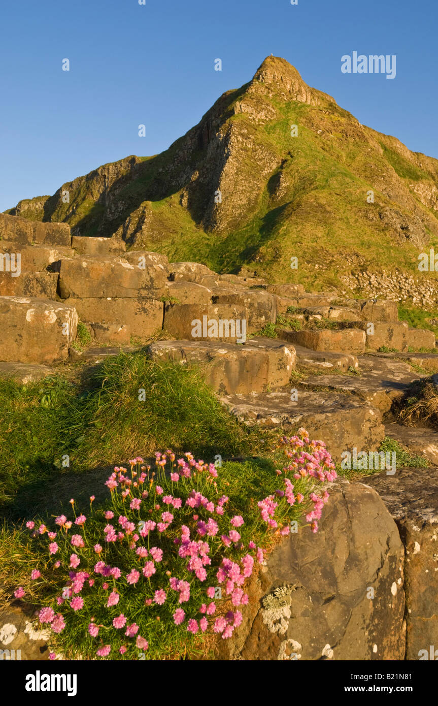 Giants Causeway al norte de Antrim ruta costera en el Condado de Antrim de Irlanda del Norte GB UK EU Europa Foto de stock