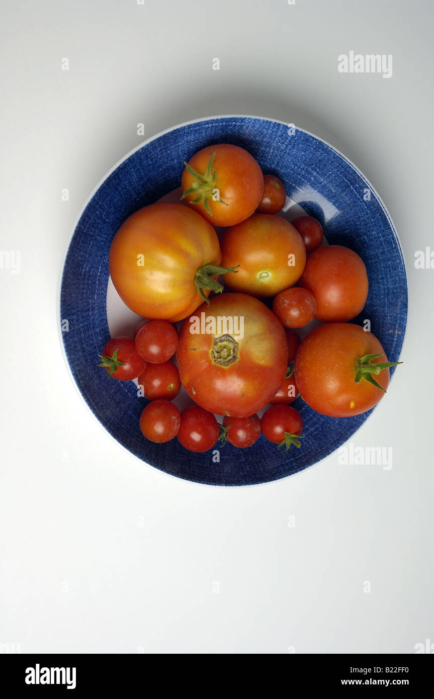 Casa cultiva tomates en un recipiente azul. Foto de stock