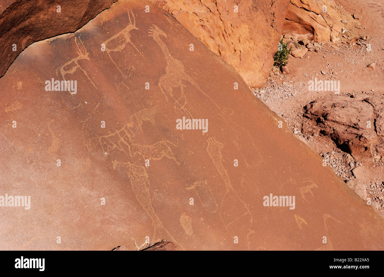 Los grabados rupestres de San tribu Twyfelfontein, monumento nacional, Damaraland, Namibia, África Foto de stock