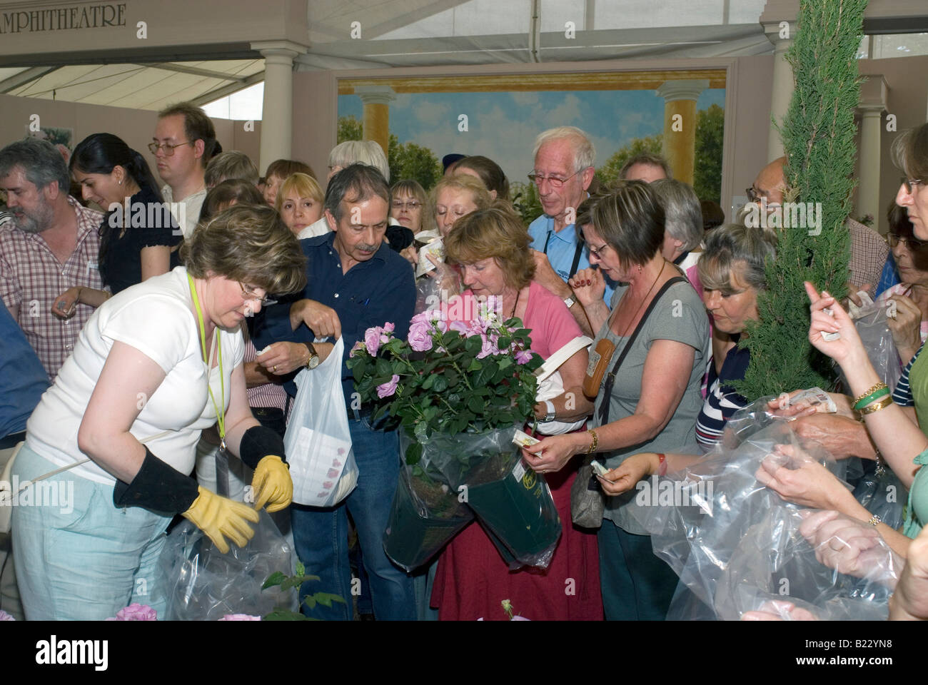 Último día de Hampton Court Flower Show cuando las plantas y las flores son vendidas al público London UK 2008 Foto de stock