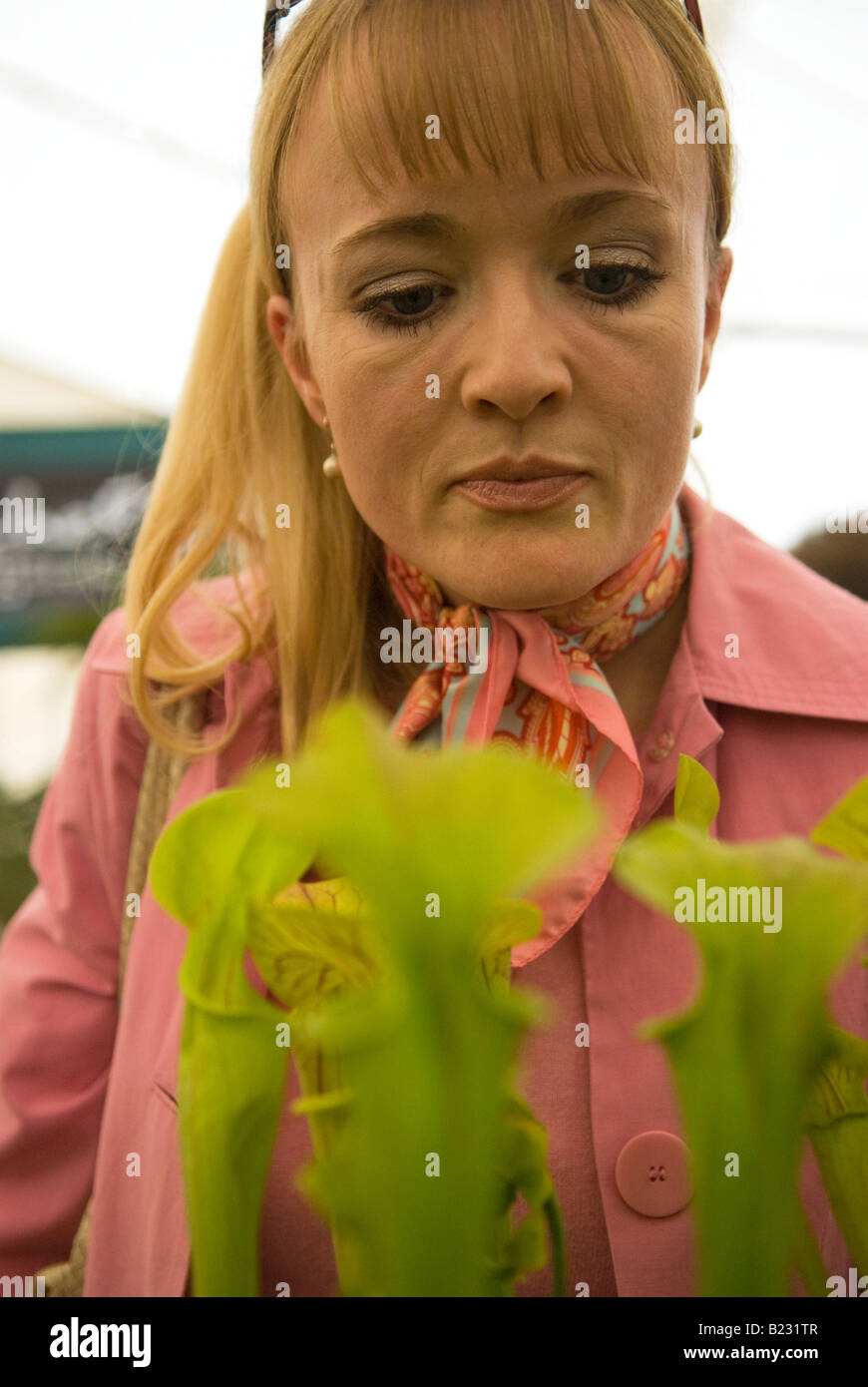 Mujer de 35 años, explorando la trompeta las plantas jarro Sarrucenia Hampton Court Flower Show Domingo 13 de julio de 2008 Foto de stock