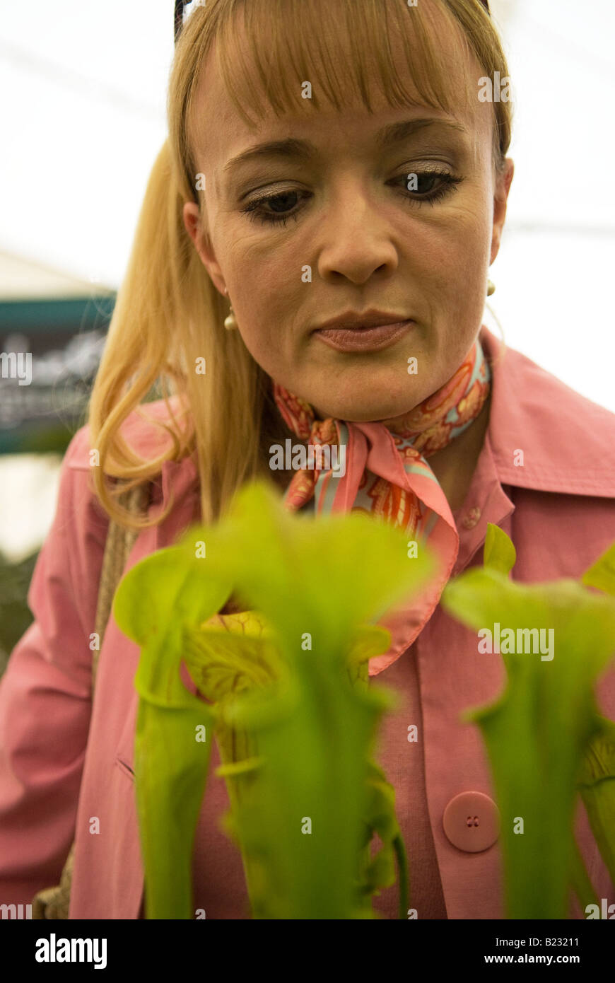 35 Años Hermosos De La Mujer Imagen de archivo - Imagen de piel, confianza:  77321017