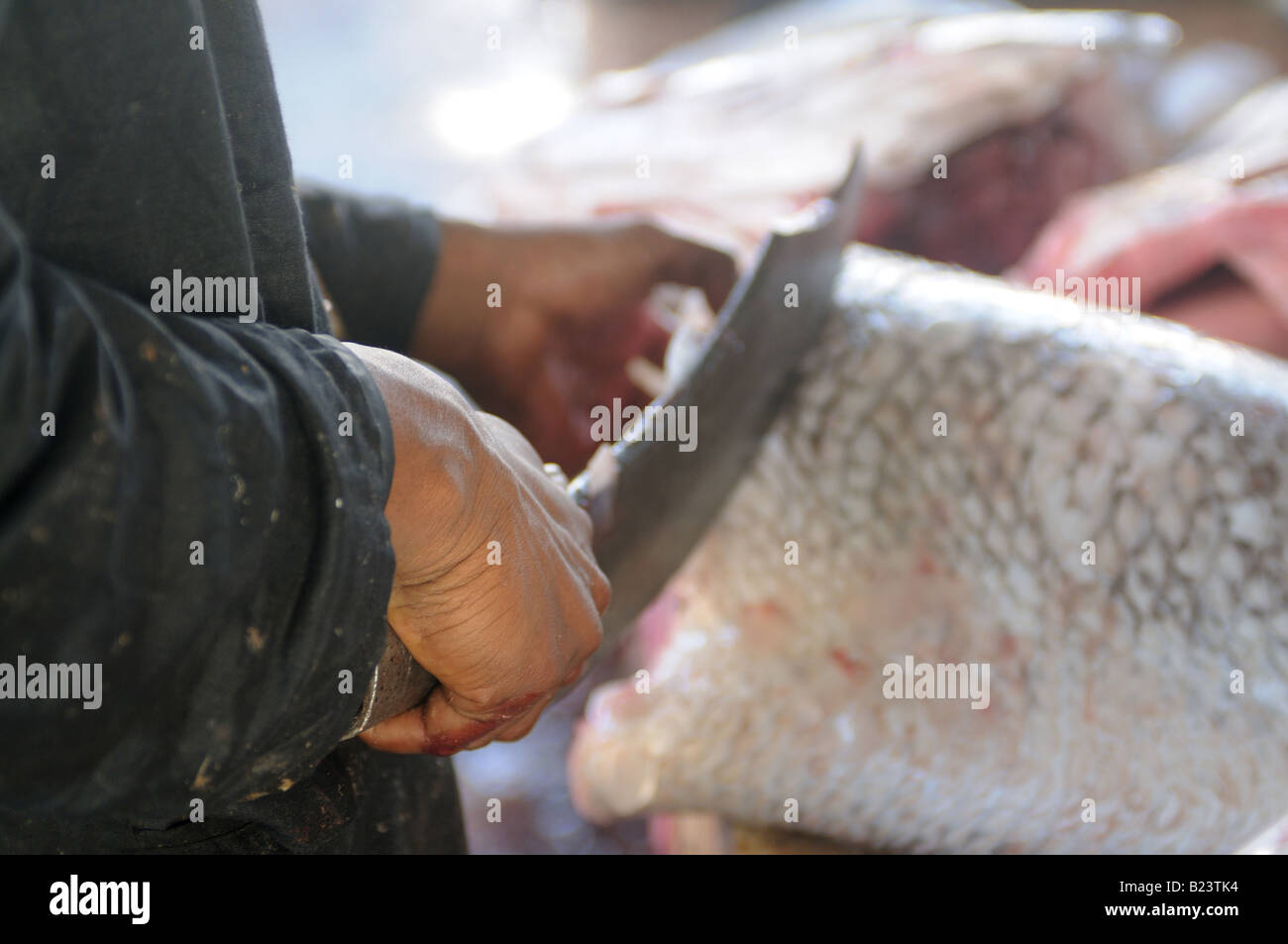 El hombre cortando filetes de atún con un machete gigante mercado Central del Pescado de África Occidental África Mauritania Foto de stock