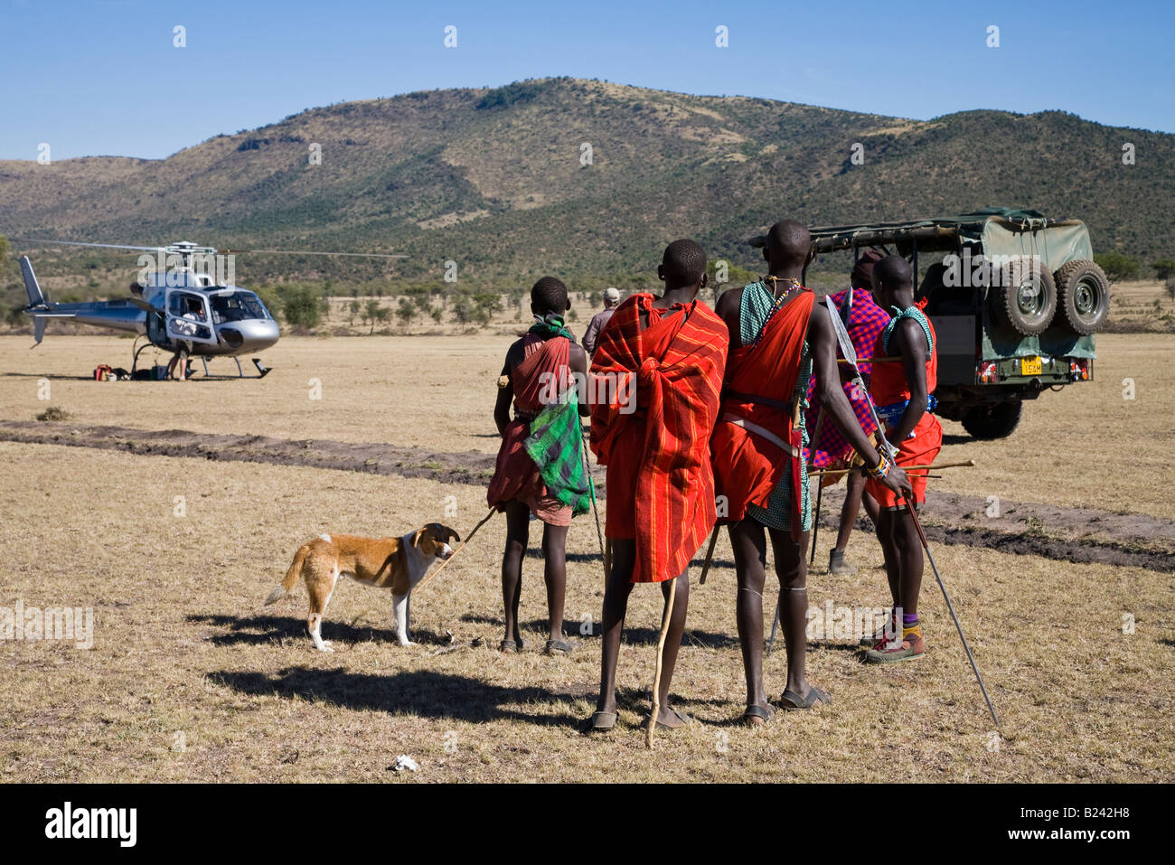 Curioso jóvenes guerreros masai llegan con lanzas y perro de saludar que aterrizaba cerca de su aldea, en el Masai Mara de Kenya Foto de stock