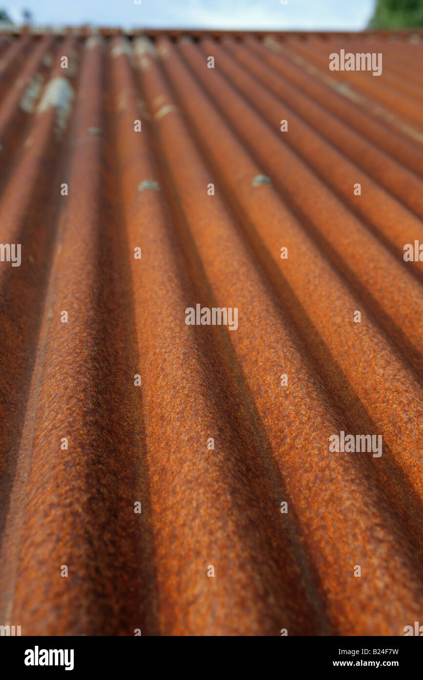 Un primer plano de un techo de estaño hierro oxidado Foto de stock