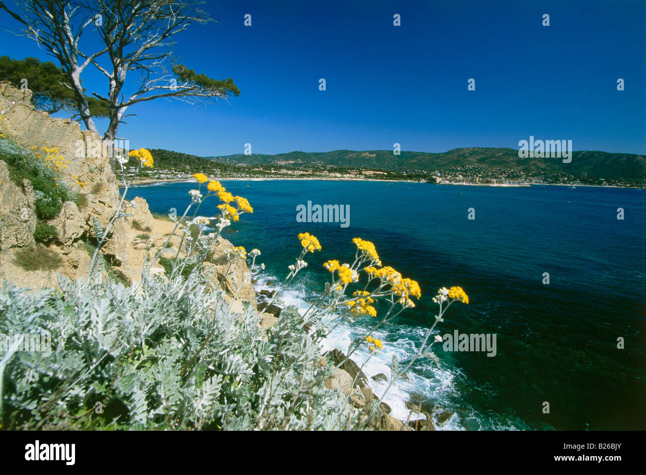 El paisaje costero y de la bahía, Baie du Gaou cerca de Le Lavandou, Cote d'Azur, Provenza, Francia Foto de stock