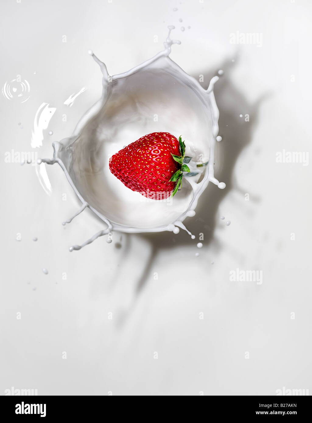 Fresa cayendo en un vaso de leche lowfat Foto de stock