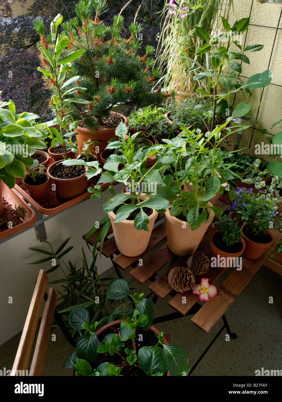 Balcón con numerosas plantas en macetas Foto de stock