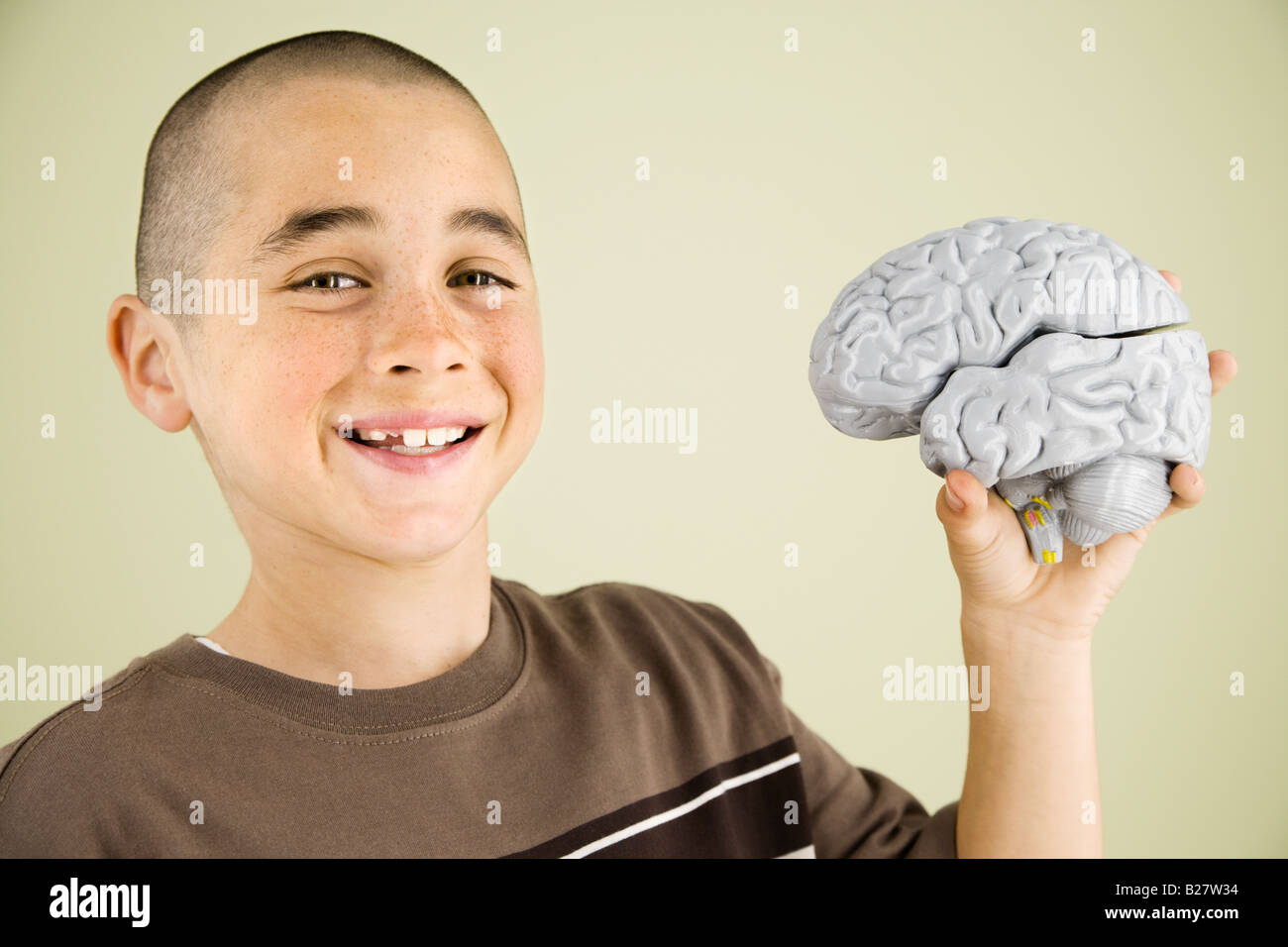 Anatomía cerebro del niño fotografías e imágenes de alta resolución - Alamy