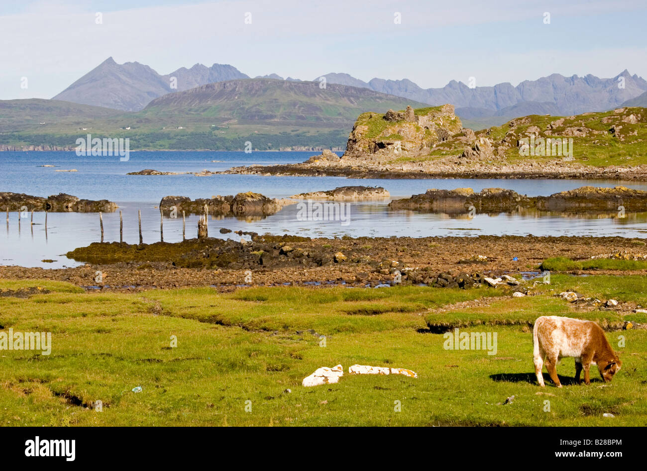 Desde Tokavaig Cuillins, Isla de Skye, Escocia Foto de stock