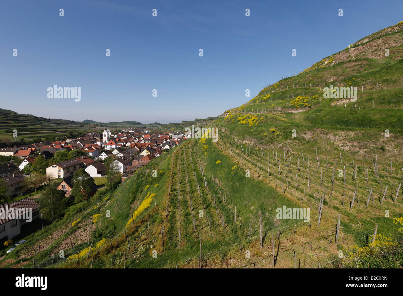Paisaje de Kaiserstuhl con vistas de los viñedos en Oberbergen, Kaiserstuhl, Baden-Wuerttemberg, Alemania, Europa Foto de stock