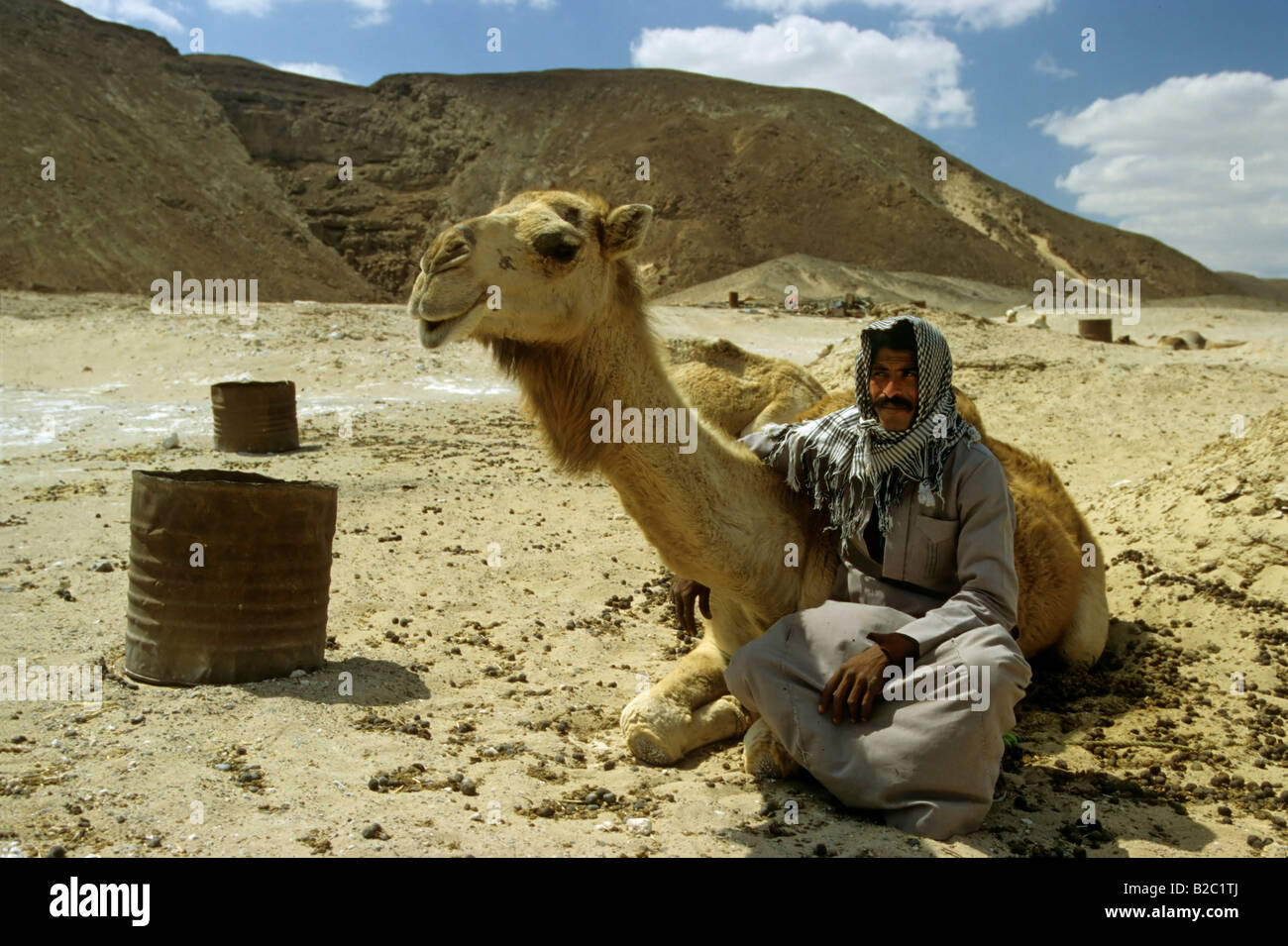 Los beduinos sentados junto a un camello bactriano (Camelus bactrianus) delante de una colina en el desierto de Sinaí, Egipto, África Foto de stock
