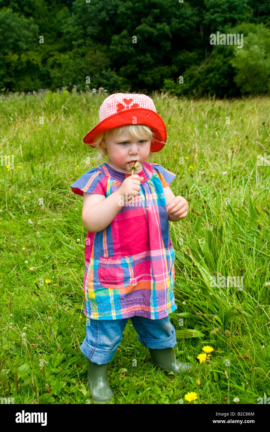 Vertical de 18 meses de edad con una niña de sombrero rojo brillante  jugando con relojes de diente de león en un día soleado Fotografía de stock  - Alamy