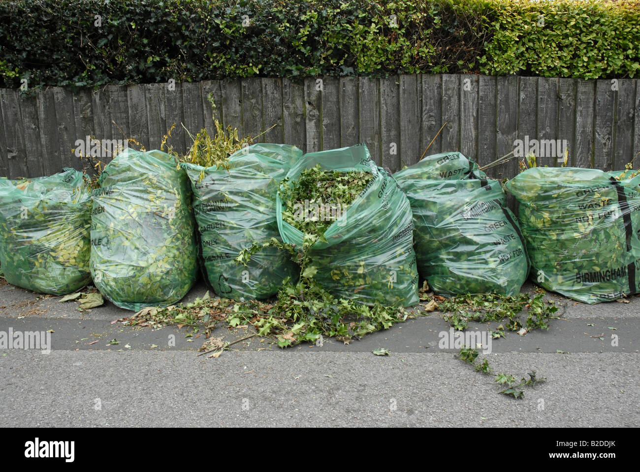 Medio ambiente residuos jardín verde consejo reciclar bolsas hedge esquejes  recortar hierba recogida de basura recogen las urbanizaciones suburbanas  Fotografía de stock - Alamy