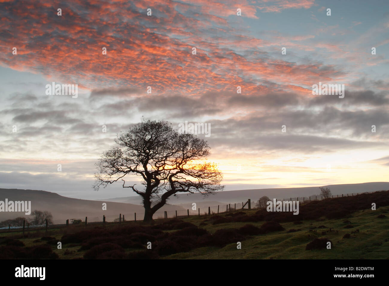 Espino en silueta contra el cielo del amanecer colorida y páramos de laminación de la Esk Valley en North York Moors National Park Foto de stock