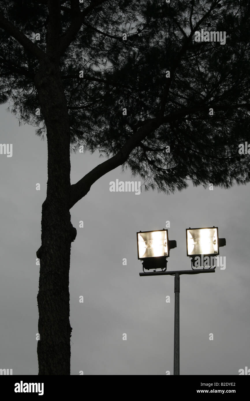 Dos reflectores Spot por el árbol en la noche Foto de stock