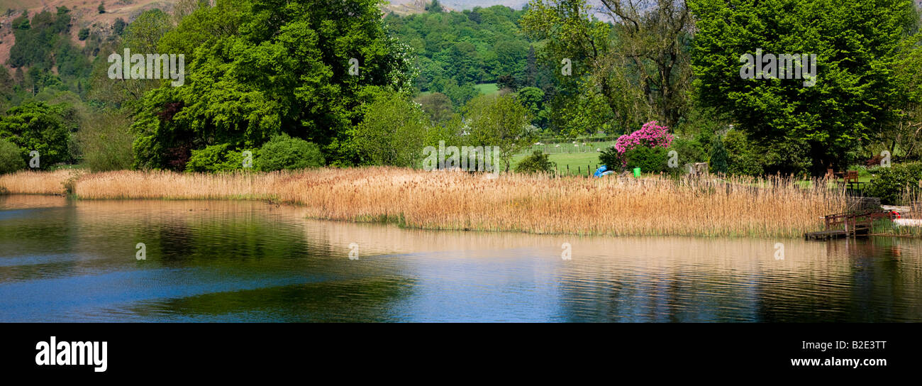 Elter Agua La Primavera colores alrededor de los lagos Costa, 'Lake District' Cumbria Inglaterra Foto de stock