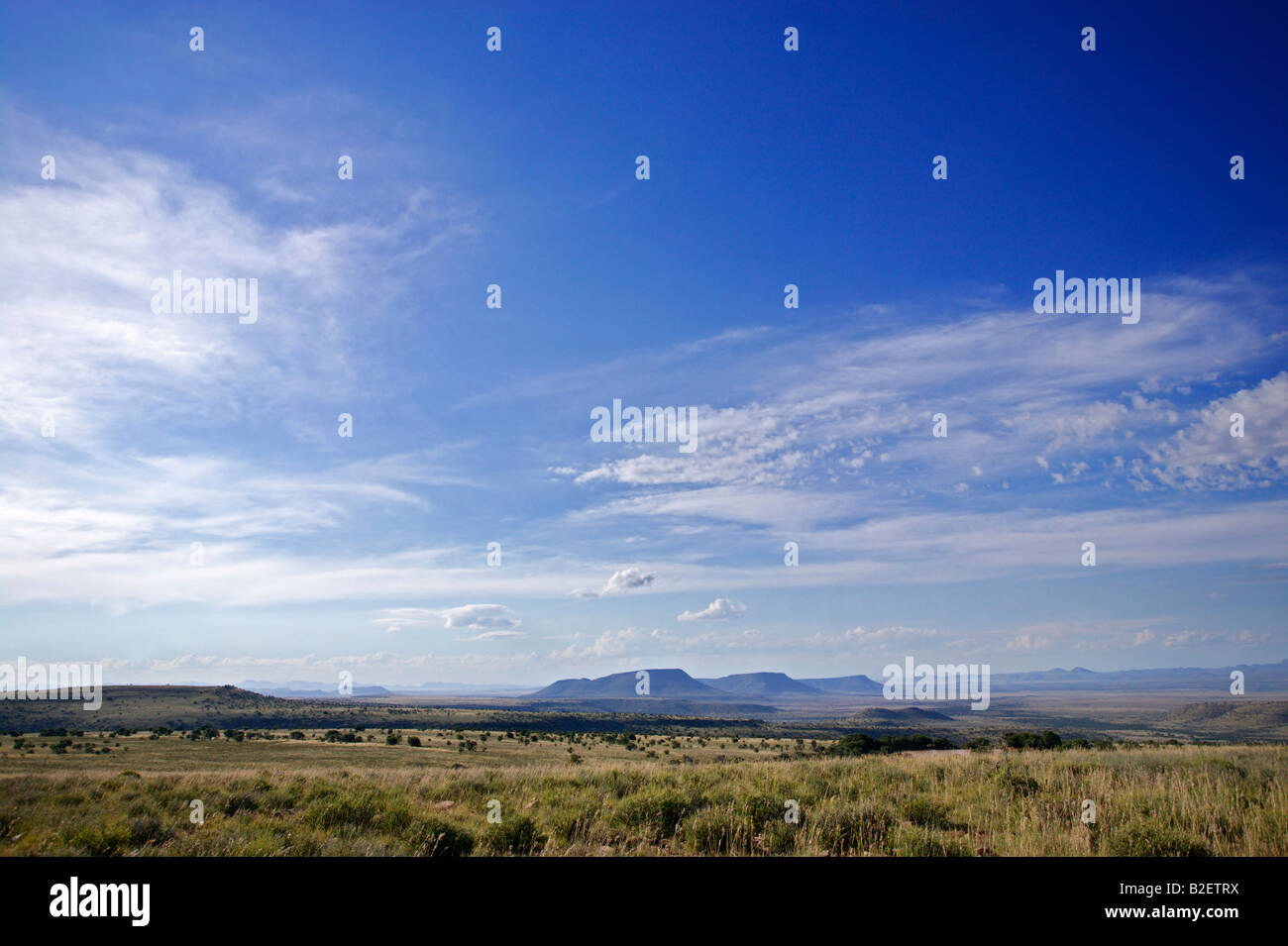 Karoo highveld paisaje en el Parque Nacional cebra de montaña Foto de stock