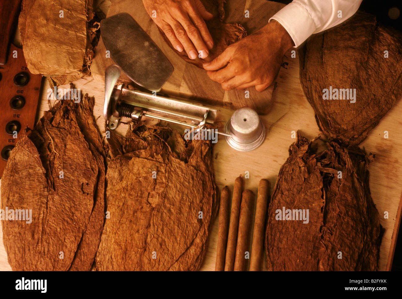 Manos a la obra haciendo puros en una fábrica en la provincia de Pinar del Río, Cuba Foto de stock