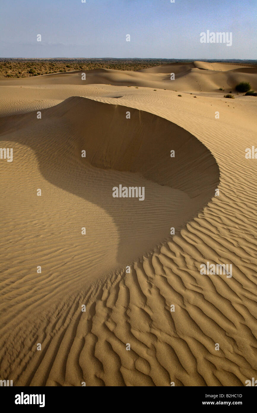 Formulario de dunas de arena en el desierto de Thar, cerca de JAISALMER RAJASTHAN INDIA Foto de stock
