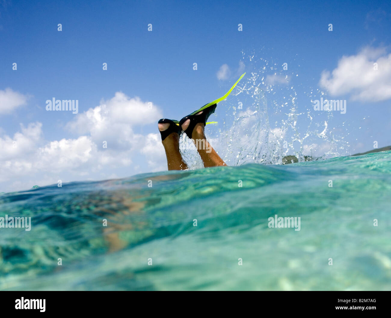 Un hombre snorkeling en claro del Caribe del agua superficial de todo lo que vemos son las aletas y sus piernas sobresaliendo del agua Foto de stock