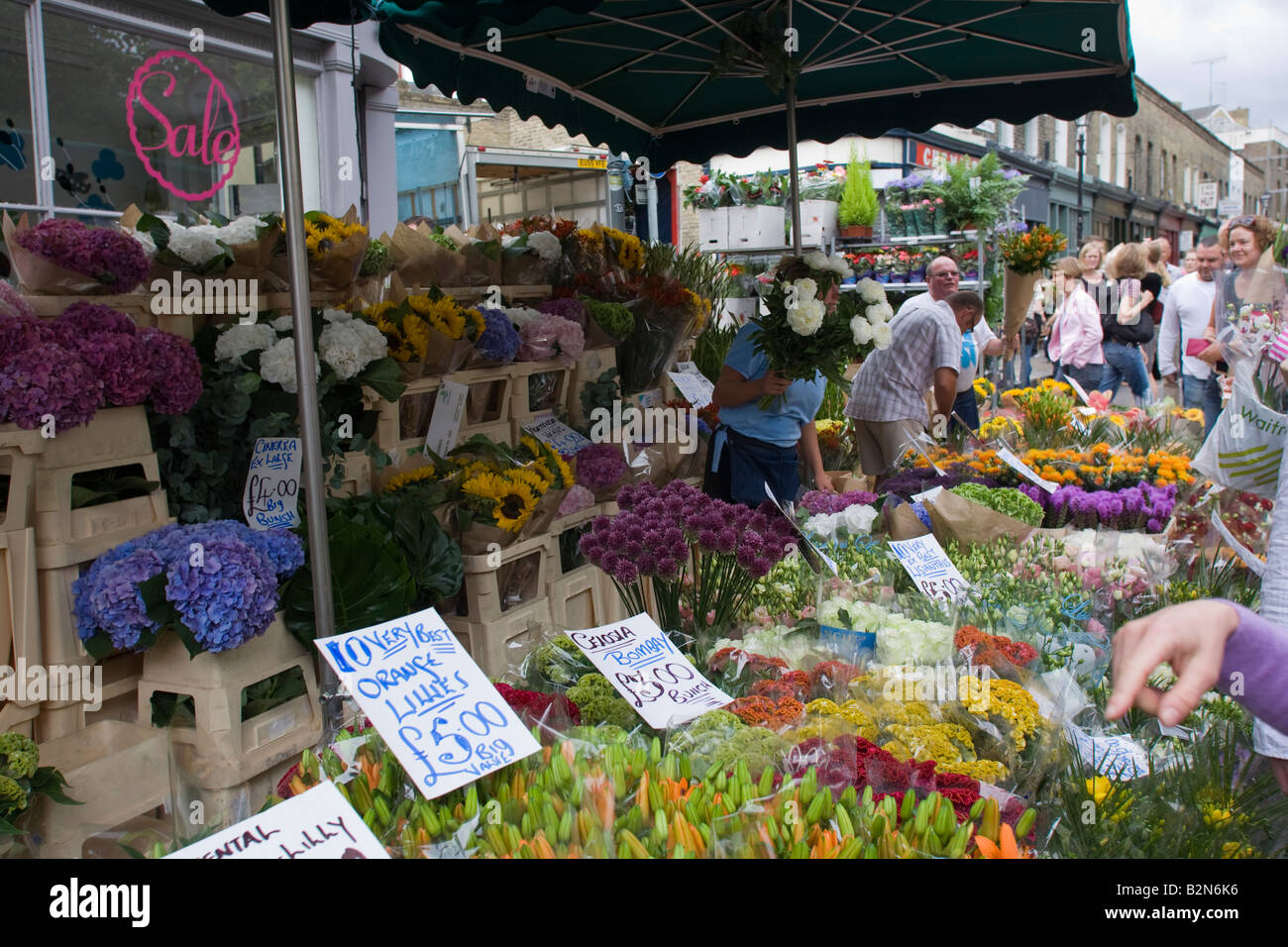 El mercado de flores de Columbia Road Domingo Hackney Road East London GB UK Foto de stock