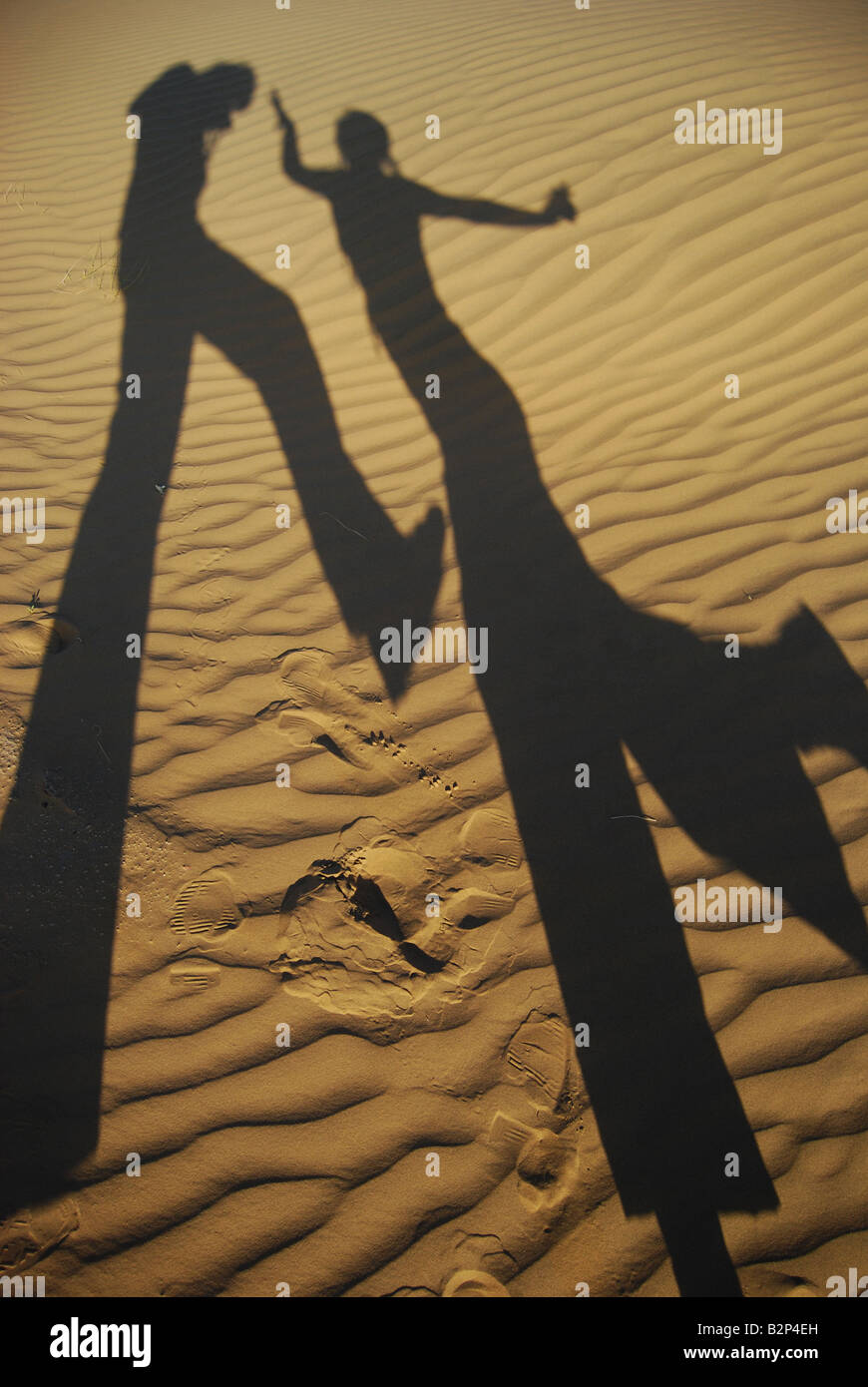 Sombras en la arena. El Gran Desierto de Thar, Jaisalmer, Rajasthan, India. Foto de stock