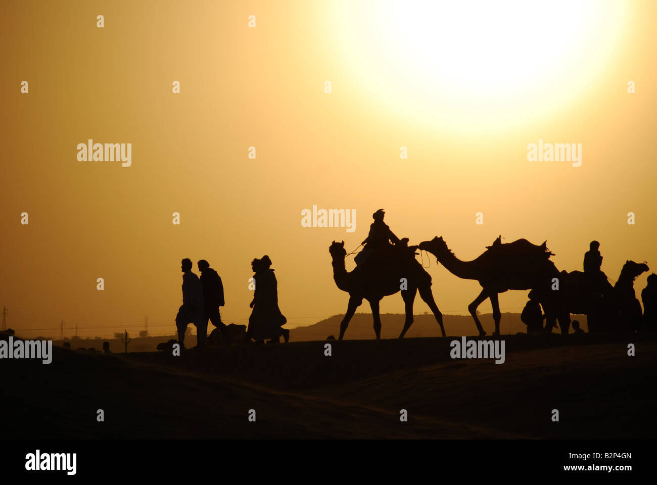 Atardecer en el Festival del Camello en el Gran Desierto de Thar, Jaisalmer, Rajasthan, India. Foto de stock