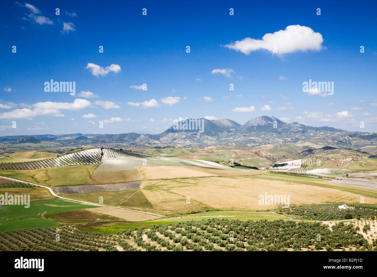 Vista sobre la región del Guadalhorce en Andalucia Foto de stock