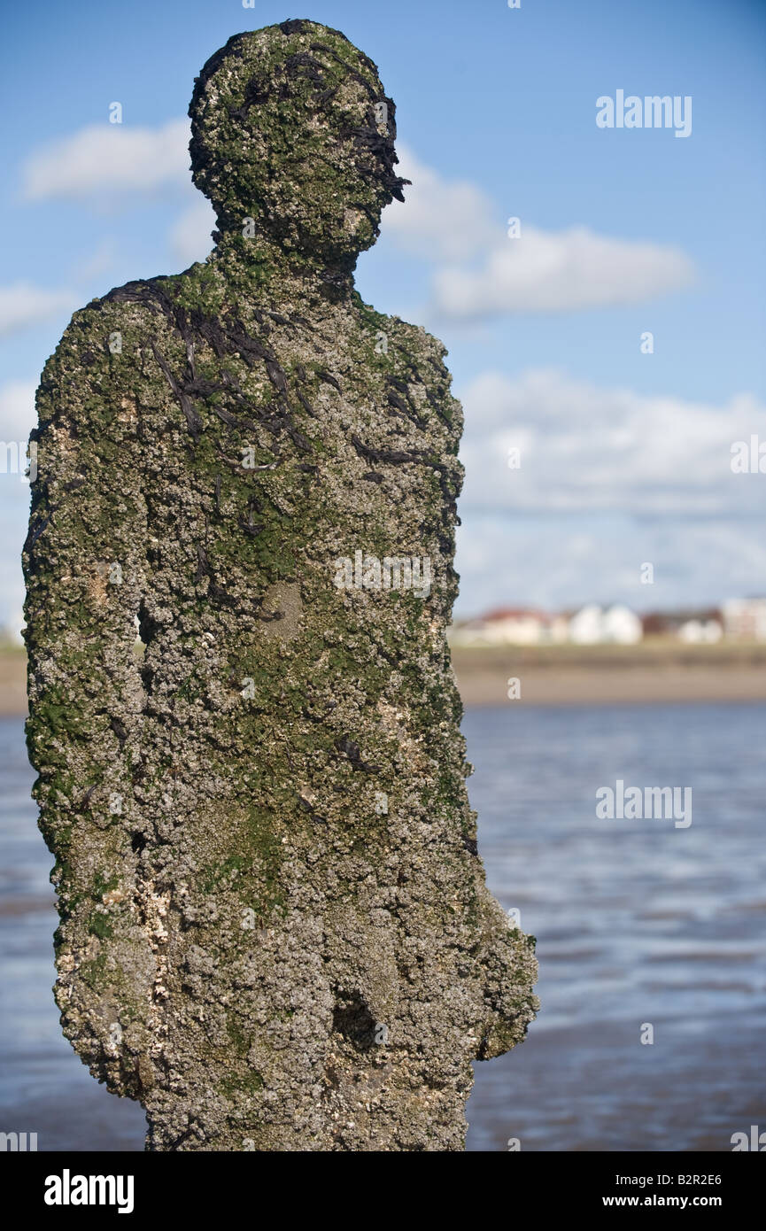 Los organismos marinos incrusting escultura de Anthony Gormley s otro lugar Crosby Beach Liverpool Mersyside Inglaterra Foto de stock