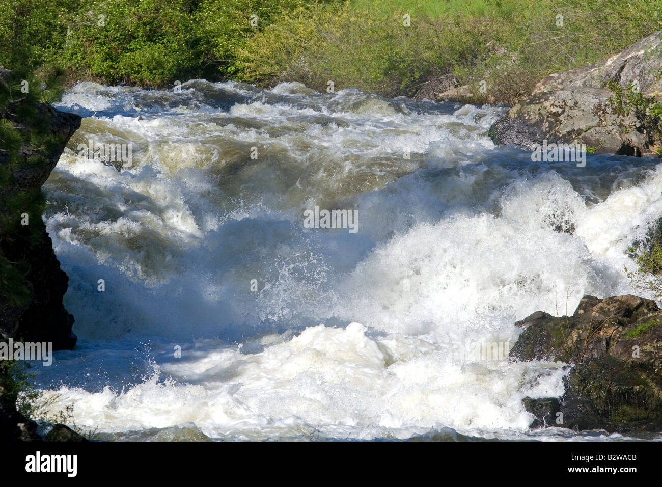 El pequeño río de salmones en el condado de Adams Idaho Foto de stock