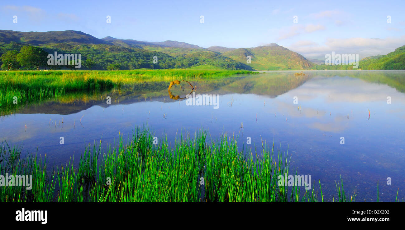 Una hermosa calma mañana en Llyn Dinas en el parque nacional de Snowdonia Gales del Norte Foto de stock