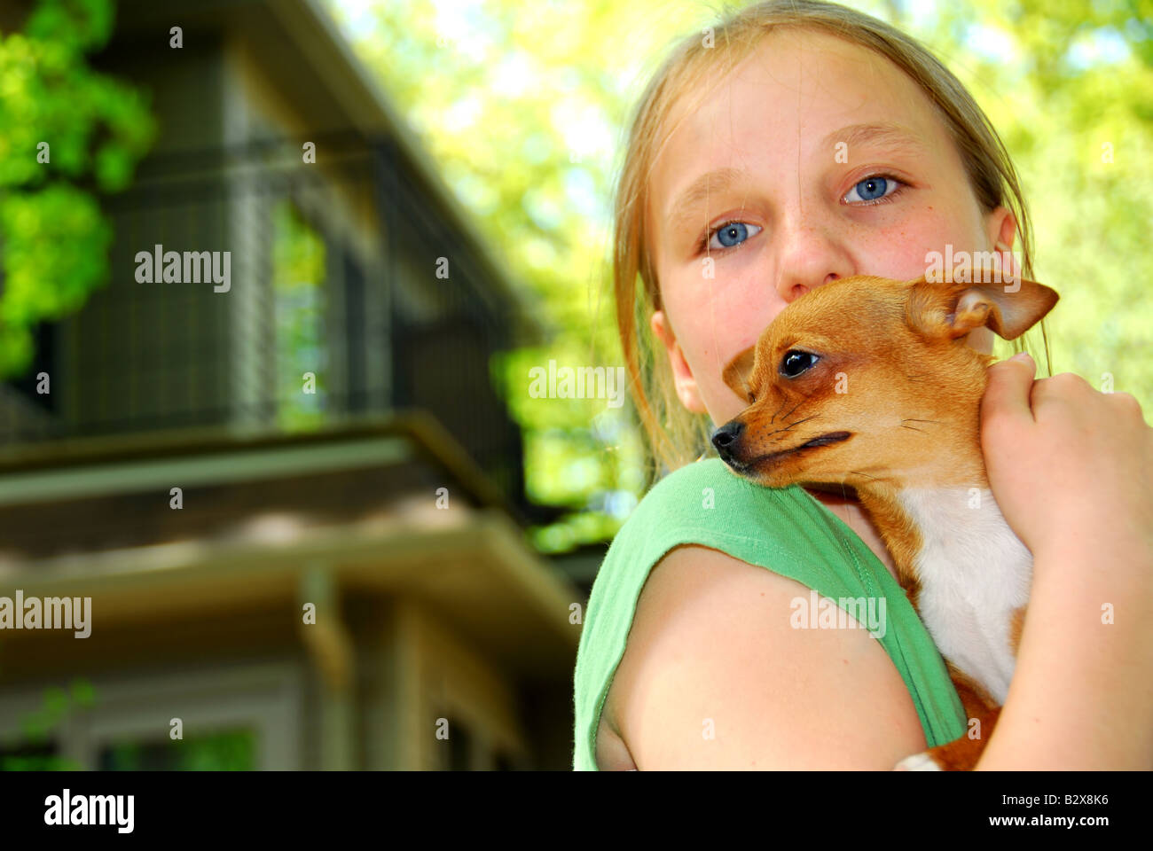 Joven sosteniendo un chihuahua cachorro fuera Foto de stock