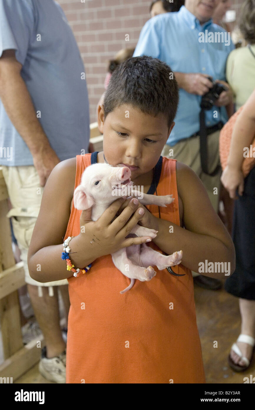 Latino bebé niño sosteniendo cerdo en la Feria Estatal de Iowa, Des Moines, Iowa, agosto de 2007 Foto de stock