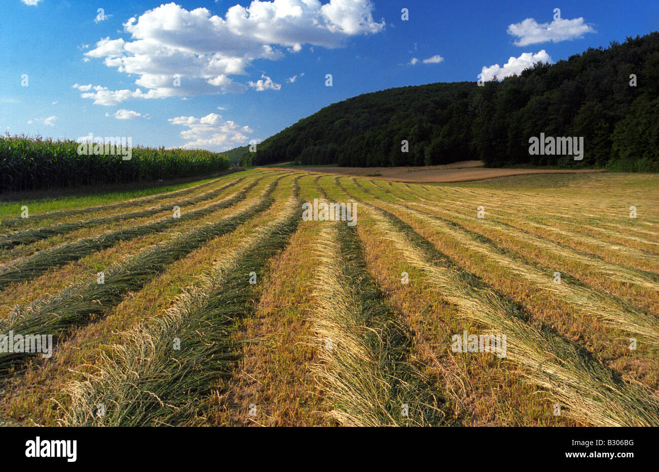 Polonia Polonia paisaje paisaje Foto de stock